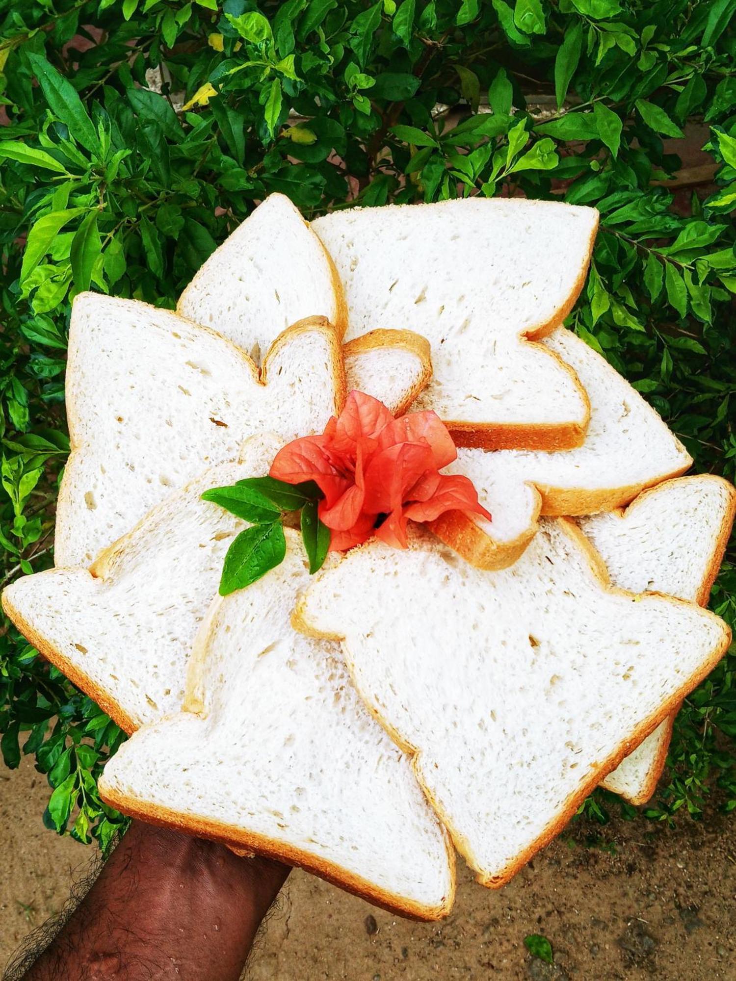 Venora Hiriketiya Bed & Breakfast Dikwella Luaran gambar